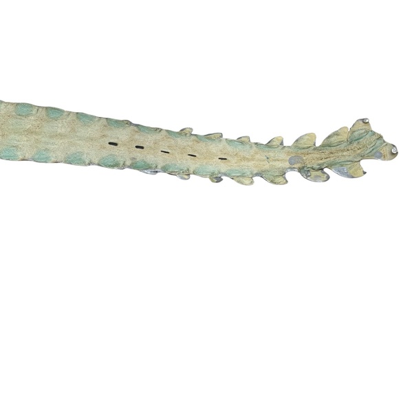 ROBERTO CAVALLI SILVER CROCODILE WIDE BELT - Picture 12 of 12